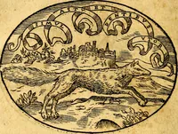 An illustration from Dialogo dell'imprese militari et amorose (1574)