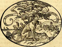 Picture 20 of 145 from Dialogo dell'imprese militari et amorose (1574), leaf 44