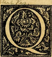 An illustration from Dialogo dell'imprese militari et amorose (1574)