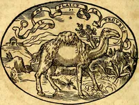 Picture 34 of 145 from Dialogo dell'imprese militari et amorose (1574), leaf 63