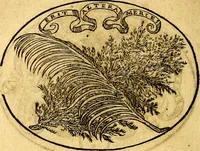 Picture 39 of 145 from Dialogo dell'imprese militari et amorose (1574), leaf 71