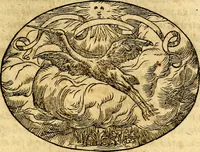 An illustration from Dialogo dell'imprese militari et amorose (1574)