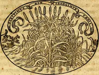 An illustration from Dialogo dell'imprese militari et amorose (1574)