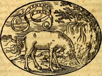 An illustration from Dialogo dell'imprese militari et amorose (1574)