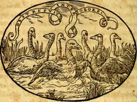 Picture 45 of 145 from Dialogo dell'imprese militari et amorose (1574), leaf 79