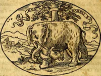An illustration from Dialogo dell'imprese militari et amorose (1574)
