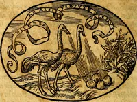 An illustration from Dialogo dell'imprese militari et amorose (1574)