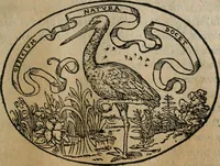An illustration from Dialogo dell'imprese militari et amorose (1574)
