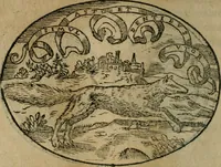 An illustration from Dialogo dell'imprese militari et amorose (1574)