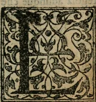 An illustration from Dialogo dell'imprese militari et amorose (1574)