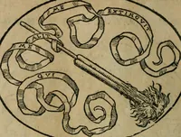 An illustration from Dialogo dell'imprese militari et amorose (1574)