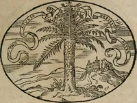 An illustration from Dialogo dell'imprese militari et amorose (1574)