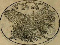 An illustration from Dialogo dell'imprese militari et amorose (1574)