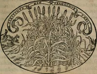 An illustration from Dialogo dell'imprese militari et amorose (1574)