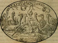 An illustration from Dialogo dell'imprese militari et amorose (1574)