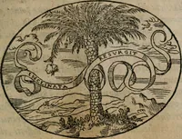 An illustration from Dialogo dell'imprese militari et amorose (1574)