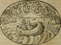 An illustration from Dialogo dell'imprese militari et amorose (1574)