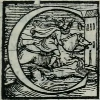 An illustration from Dialogo dell'imprese militari et amorose (1557)