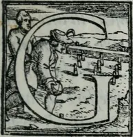 An illustration from Dialogo dell'imprese militari et amorose (1557)
