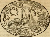 An illustration from Dialogo dell'imprese militari et amorose di Monsignor Giouio, vescouo di Nocera : et del S. Gabriel Symeoni fiorentino : con vn ragionamento di M. Lodouico Domenichi, nel medesimo soggetto : con la tauola (1574)