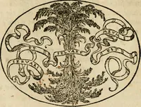 An illustration from Dialogo dell'imprese militari et amorose di Monsignor Giouio, vescouo di Nocera : et del S. Gabriel Symeoni fiorentino : con vn ragionamento di M. Lodouico Domenichi, nel medesimo soggetto : con la tauola (1574)