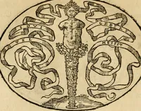 An illustration from Dialogo dell'imprese militari et amorose di Monsignor Giouio, vescouo di Nocera : et del S. Gabriel Symeoni fiorentino : con vn ragionamento di M. Lodouico Domenichi, nel medesimo soggetto : con la tauola (1574)