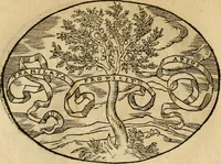 An illustration from Dialogo dell'imprese militari et amorose di Monsignor Giouio, vescouo di Nocera : et del S. Gabriel Symeoni fiorentino : con vn ragionamento di M. Lodouico Domenichi, nel medesimo soggetto : con la tauola (1574)