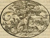 An illustration from Dialogo dell'imprese militari et amorose di Monsignor Giouio, vescouo di Nocera : et del S. Gabriel Symeoni fiorentino : con vn ragionamento di M. Lodouico Domenichi, nel medesimo soggetto : con la tauola (1574)