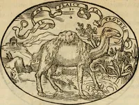 An illustration from Dialogo dell'imprese militari et amorose di Monsignor Giouio, vescouo di Nocera : et del S. Gabriel Symeoni fiorentino : con vn ragionamento di M. Lodouico Domenichi, nel medesimo soggetto : con la tauola (1574)