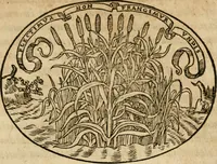 An illustration from Dialogo dell'imprese militari et amorose di Monsignor Giouio, vescouo di Nocera : et del S. Gabriel Symeoni fiorentino : con vn ragionamento di M. Lodouico Domenichi, nel medesimo soggetto : con la tauola (1574)