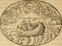 An illustration from Dialogo dell'imprese militari et amorose di Monsignor Giouio, vescouo di Nocera : et del S. Gabriel Symeoni fiorentino : con vn ragionamento di M. Lodouico Domenichi, nel medesimo soggetto : con la tauola (1574)