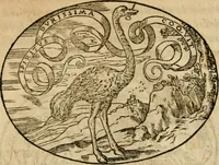 An illustration from Dialogo dell'imprese militari et amorose di Monsignor Giouio, vescouo di Nocera : et del S. Gabriel Symeoni fiorentino : con vn ragionamento di M. Lodouico Domenichi, nel medesimo soggetto : con la tauola (1574)