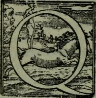 An illustration from Dialogo di M. Lodovico Dolce della institution delle donne : da lui stesso in questa quarta impressione riueduto, e di piu utili cose ampliato, & con la tauola delle cose piu degne di memoria (1560)