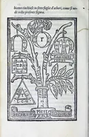 Picture 19 of 21 from Dialogo di M. Lodovico Dolce, nel quale si ragiona del modo di accrescere e conseruar la memoria (1562), leaf 198