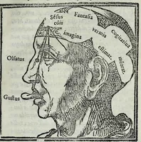 An illustration from Dialogo di M. Lodovico Dolce, nel quale si ragiona del modo di accrescere e conseruar la memoria (1562)