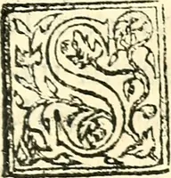 An illustration from Dialogo intitolato La strega, overgo de gli inganni de demoni; dell' ... Giouan Francesco Pico conte de la Mirandola (1555)
