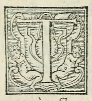 An illustration from Dialogo dell'imprese militari et amorose (1555)