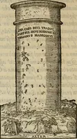 Picture 51 of 62 from Dialogo pio et specvlativo, con diuerse sentenze latine & volgari (1560), leaf 197