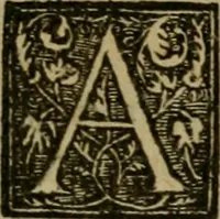 An illustration from Dialogo pio et specvlativo, con diuerse sentenze latine & volgari (1560)