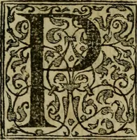 An illustration from Dialogo pio et specvlativo, con diuerse sentenze latine & volgari (1560)