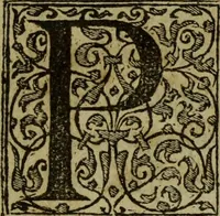 An illustration from Dialogo Pio Et Specvlativo : Con diuerse sentenze Latine & volgari (1560)