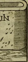 Picture 37 of 44 from Dialogo Pio Et Specvlativo : Con diuerse sentenze Latine & volgari (1560), leaf 187