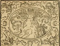 An illustration from Dialogue des devises d'armes et d'amovrs du S. Pavlo Iovio : avec un discours M. Loys Dominique sur le mesme subiet (1561)