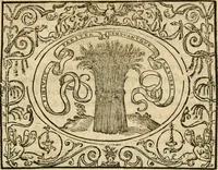 An illustration from Dialogue des devises d'armes et d'amovrs du S. Pavlo Iovio : avec un discours M. Loys Dominique sur le mesme subiet (1561)