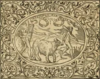 An illustration from Dialogue des devises d'armes et d'amovrs du S. Pavlo Iovio : avec un discours M. Loys Dominique sur le mesme subiet (1561)