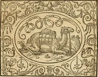 An illustration from Dialogue des devises d'armes et d'amovrs du S. Pavlo Iovio : avec un discours M. Loys Dominique sur le mesme subiet (1561)