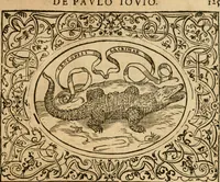 An illustration from Dialogue des devises d'armes et d'amovrs du S. Pavlo Iovio : avec un discours M. Loys Dominique sur le mesme subiet (1561)