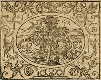 An illustration from Dialogue des devises d'armes et d'amovrs du S. Pavlo Iovio : avec un discours M. Loys Dominique sur le mesme subiet (1561)