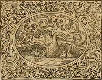 An illustration from Dialogue des devises d'armes et d'amovrs du S. Pavlo Iovio : avec un discours M. Loys Dominique sur le mesme subiet (1561)