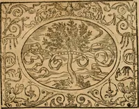 An illustration from Dialogue des devises d'armes et d'amovrs du S. Pavlo Iovio : avec un discours M. Loys Dominique sur le mesme subiet (1561)